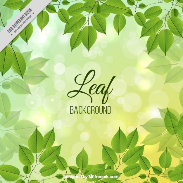 Free vector nature background with green leaves