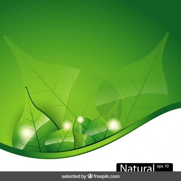 Nature background with wave