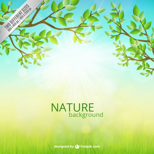 nature background
