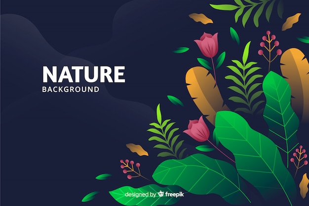 Nature Background