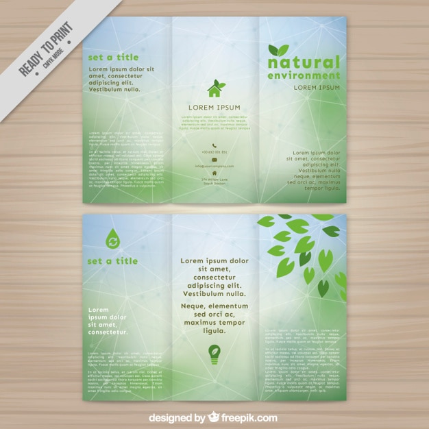 Vettore gratuito brochure natura