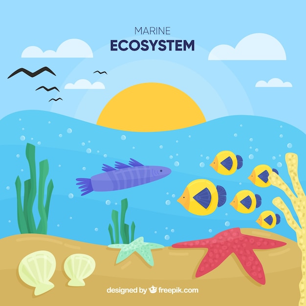 Free vector nature and ecosystem concept