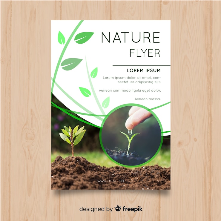 Free Vector nature flyer template