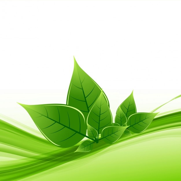 Free vector nature leaf background