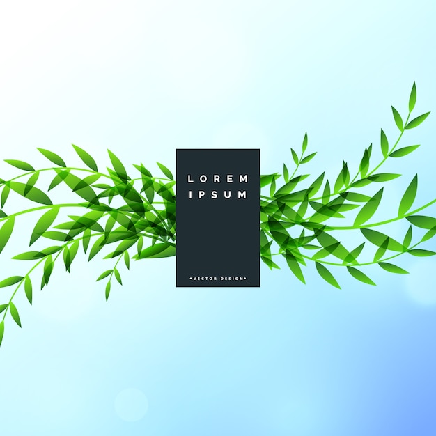 Free vector nature leaves beautiful background design
