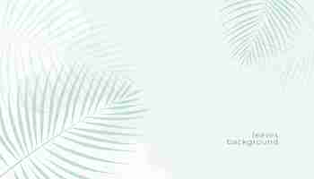 Free vector nature leaves white background design