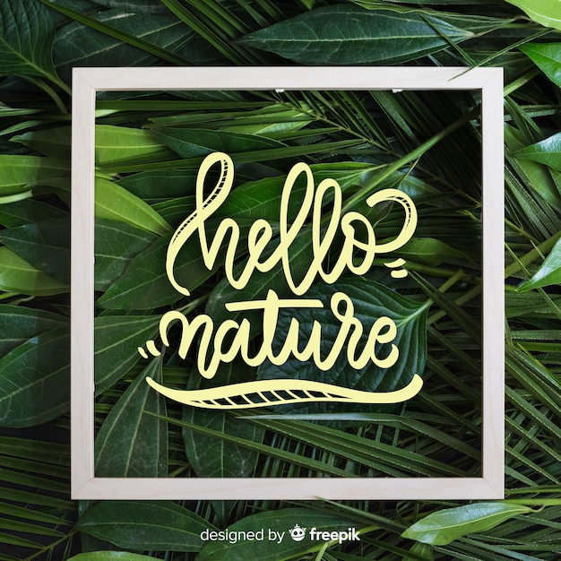 Free vector nature lettering background with photo