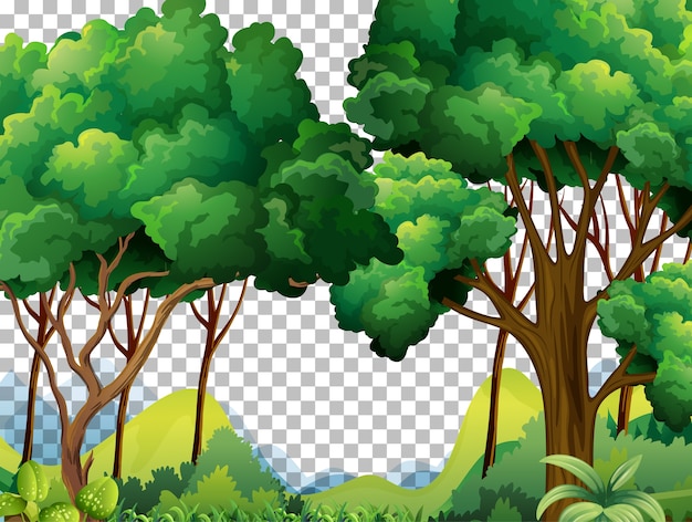 Free vector nature outdoor landscape transparent background