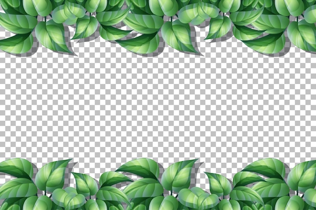 Green Leaf Background png download - 1067*942 - Free Transparent