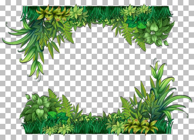 Transparent Leaf Border Images - Free Download on Freepik