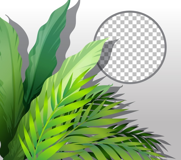 Free vector nature plants frame transparent background