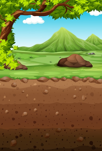 Free vector nature scene with field and underground