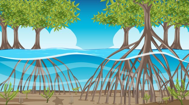 Nature scene with Mangrove forest at daytime in cartoon style