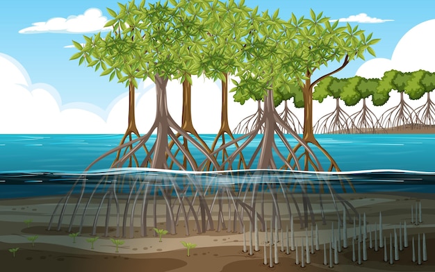 Бесплатное векторное изображение Сцена природы с мангровым лесом в мультяшном стиле
