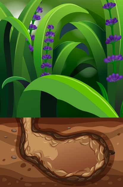 Free vector nature scene with underground hole