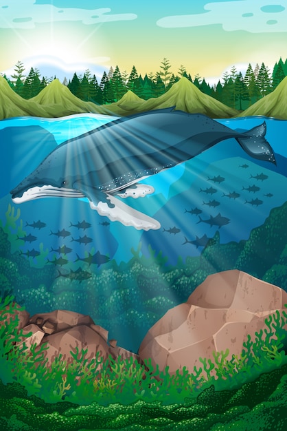 Природа сцена с китом под морем