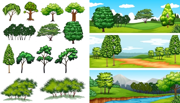 Nature scenes with trees and fields illustration