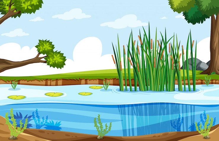 Free Vector a nature swamp landscape