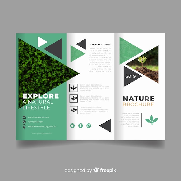 Free vector nature trifold brochure