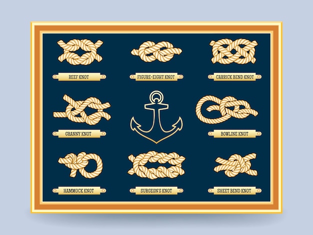 Nautical rope knots on the board in frame. bowline knot and the figure eight.