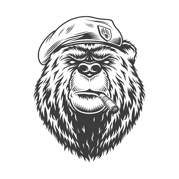 Navy seal bear head in beret