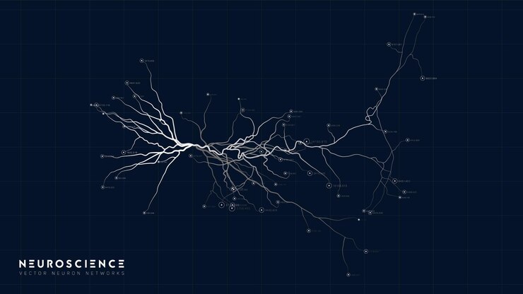 Free Vector neuron system model neural net structure research of the human nerve network digital artificial organism human mind cells data analysis
