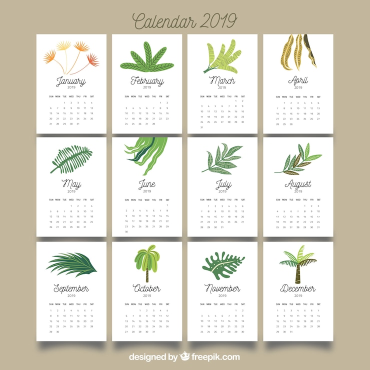 Free Vector nice 2019 calendar with colourful leaves