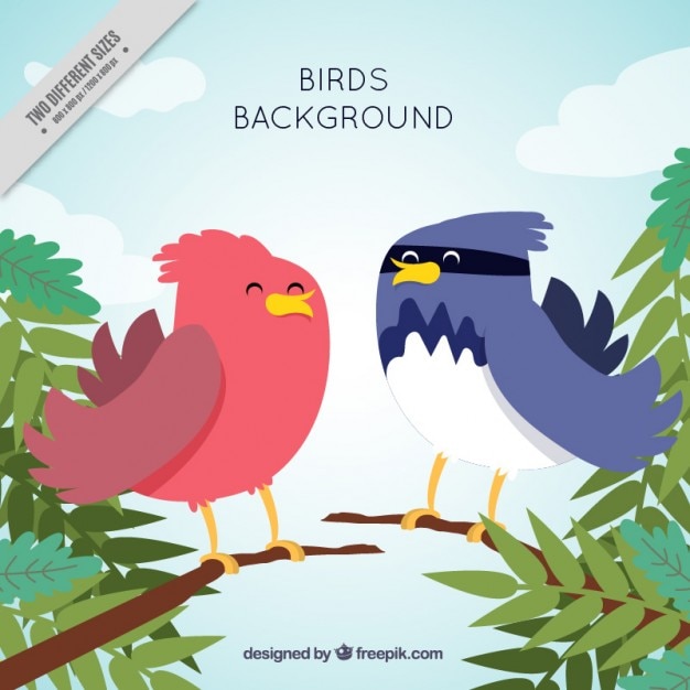 Free vector nice background of tropical birds