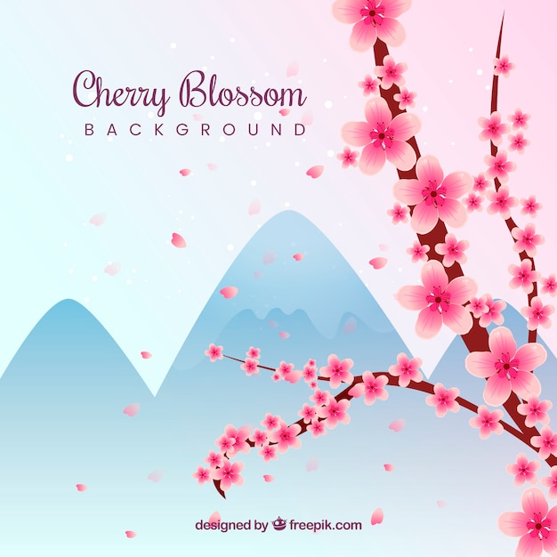 Bel sfondo di fiori di ciliegio in design piatto