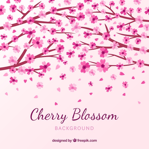 Free vector nice cherry blossom background in flat design