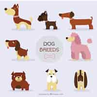 Free vector nice dog breed collection