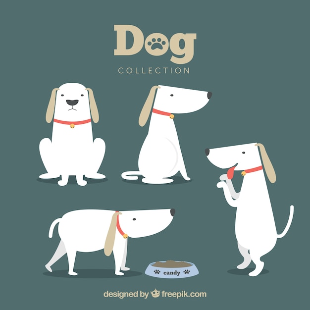 Free vector nice dog ​​pack