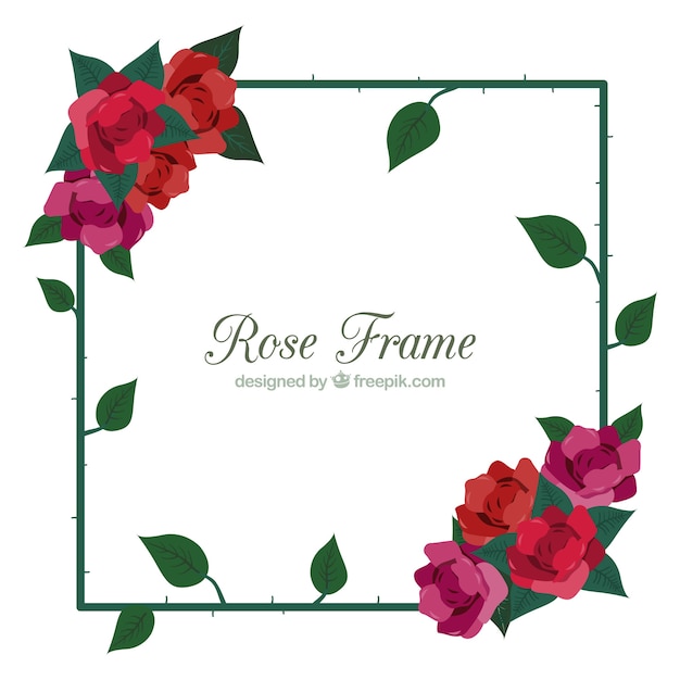 Nice frame of colored roses