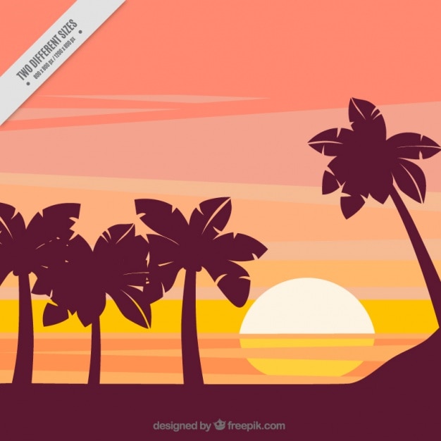 Free vector nice landscape with sun and palm trees