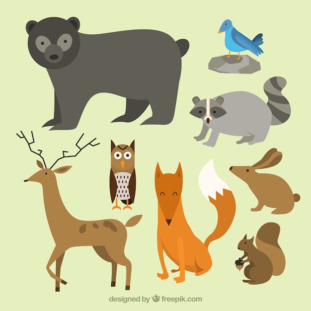 Nice wild animals