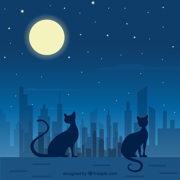 夜の猫のベクトルアート