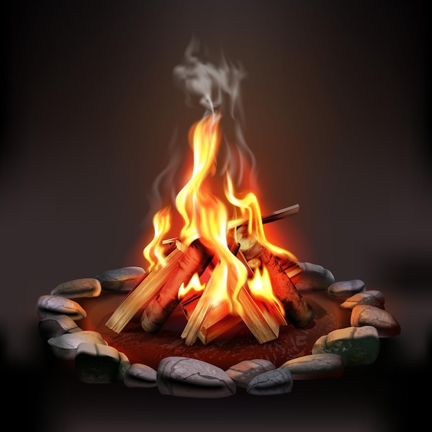 Night composition with burning campfire illustration