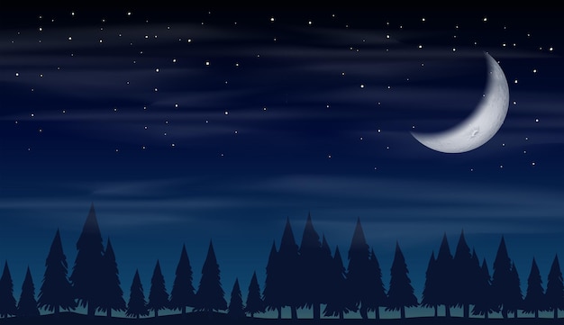 Free vector night in the forest