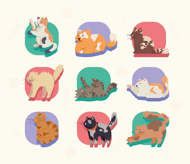 Nine cats mascots