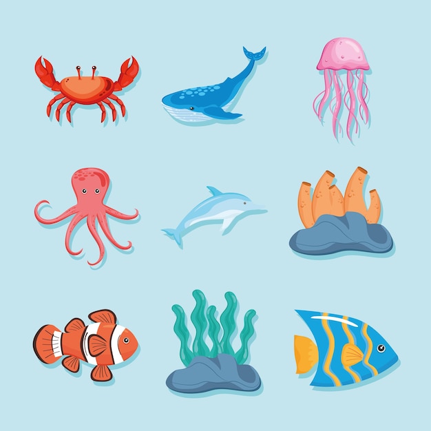 Vettore gratuito nove icone di vita marina