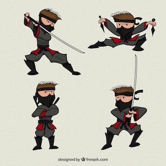 Ninja character collection