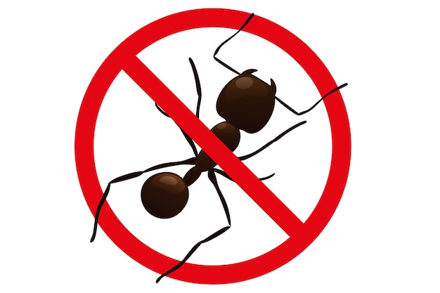 개미 표시가 없습니다. 흰색 배경에 고립 된 경고 표시에 iinsect 실루엣. 주의 및 중지 벡터 일러스트 레이 션.
