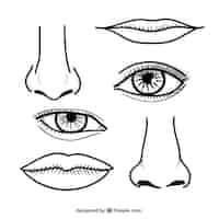 Free vector noses and lips in hand drawn style