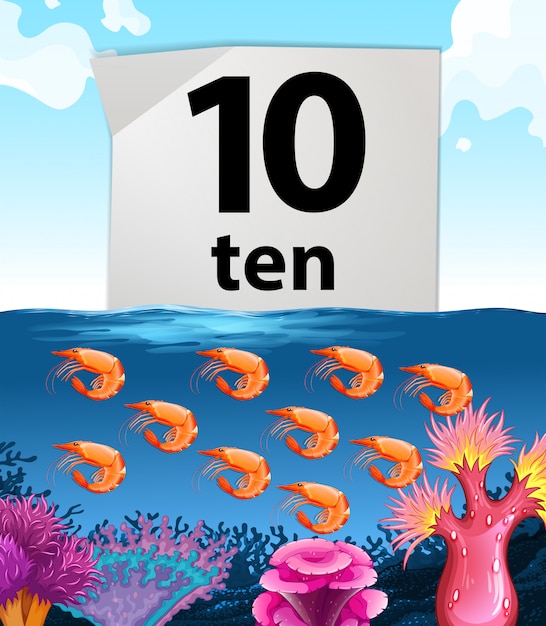 Number ten and ten shrimps underwater