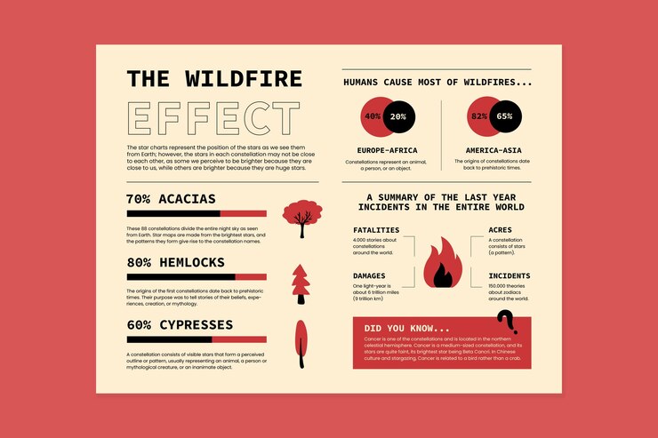 Free Vector number of wildfires infographic template
