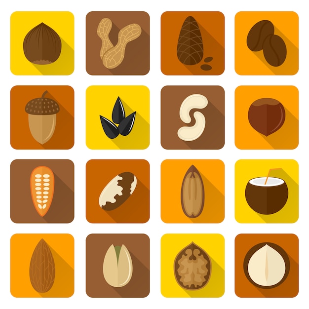 Nuts icons set