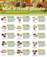 Free vector nuts infographics set