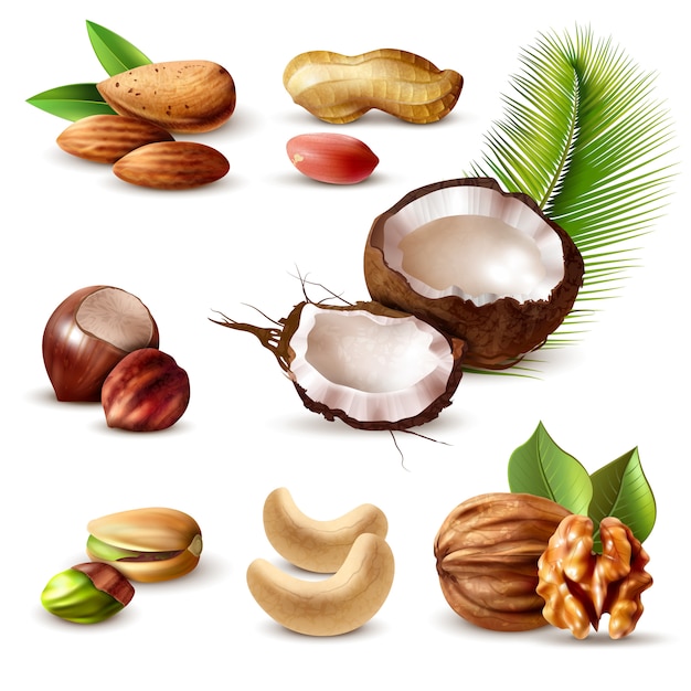 Free vector nuts realistic set