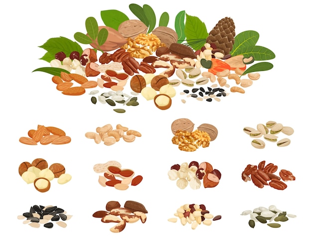 Free vector nuts and seeds flat set with isolated images of bean piles and big variety of seed vector illustration