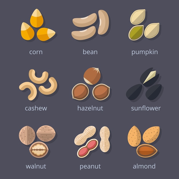 Free vector nuts and seeds icon set. almond and walnut, peanut and pumpkin, corn and bean.